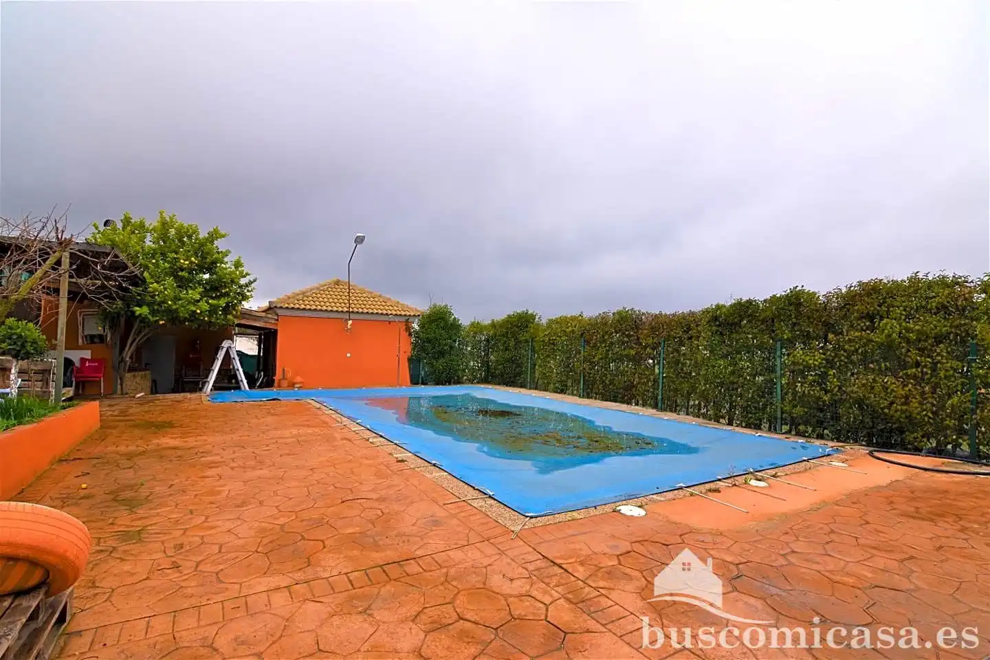 Piscina de Casa o chalet en venta en Rus con Jardín privado, Trastero y Piscina