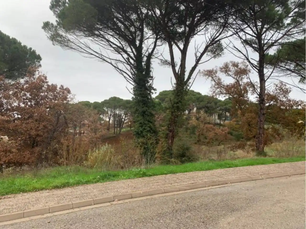 Terreny residencial en venda a Calle segria, imagen 5