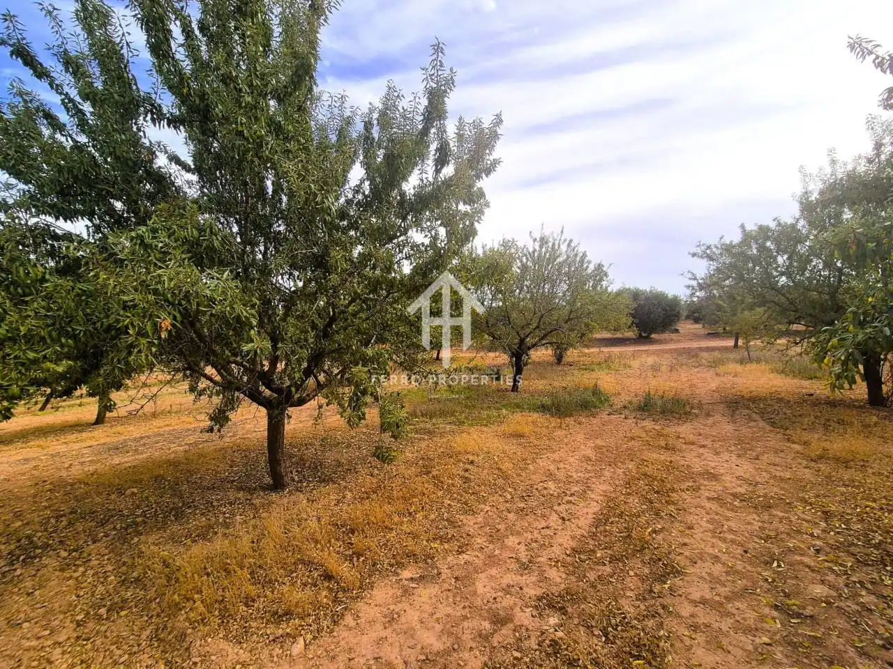 Rural land for sale in Moraleda de Zafayona, imagen 20