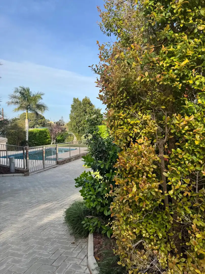 Terrassa de Casa o xalet en venda en Elche / Elx amb Aire condicionat, Calefacció i Jardí privat