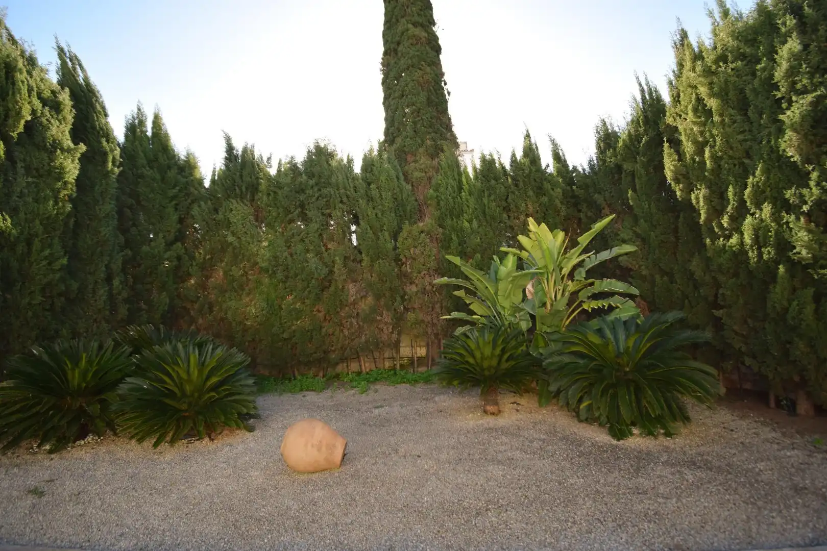 Jardí de Casa o xalet en venda en Muro amb Aire condicionat, Calefacció i Terrassa