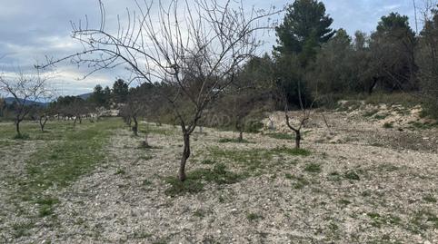 Photo 2 of Land for sale in Benimarfull, Alicante