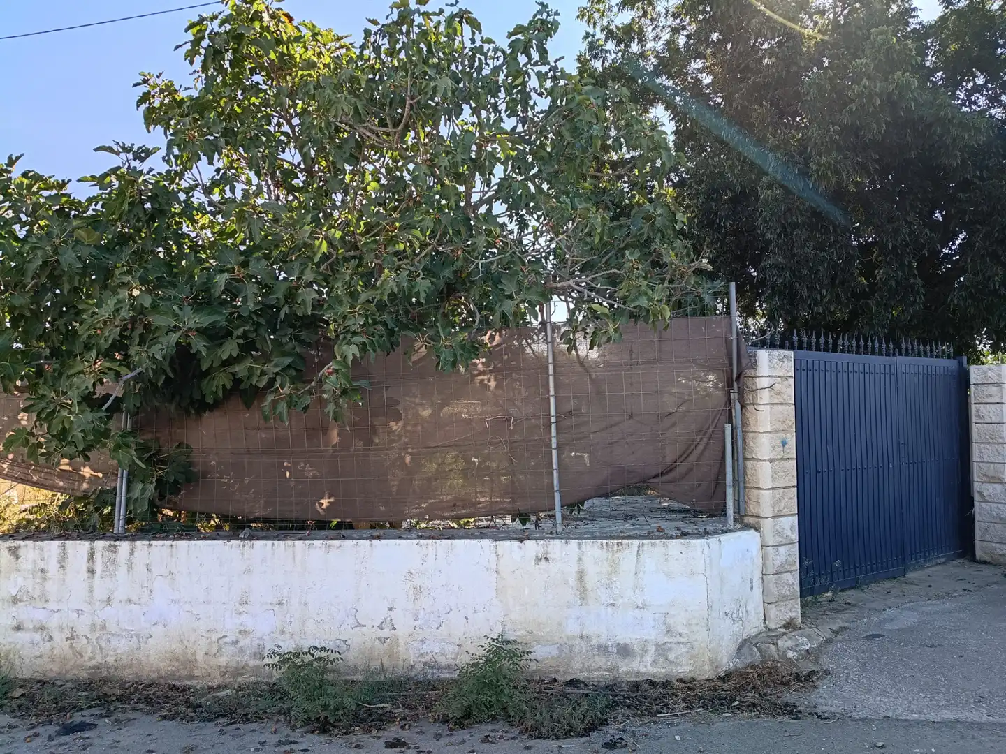 Rural land for sale in Plaza 8 Au Santa Amalia, imagen 9