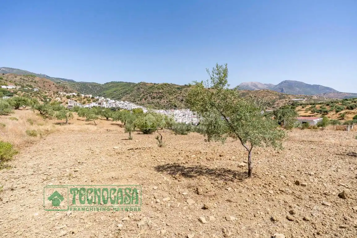 Land for sale in Tolox