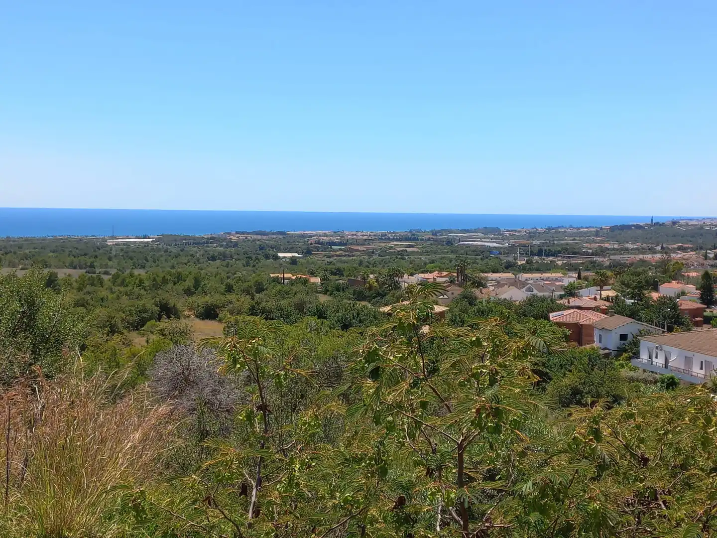 Terrain rustique à vendre à C/ Masferrer, imagen 3