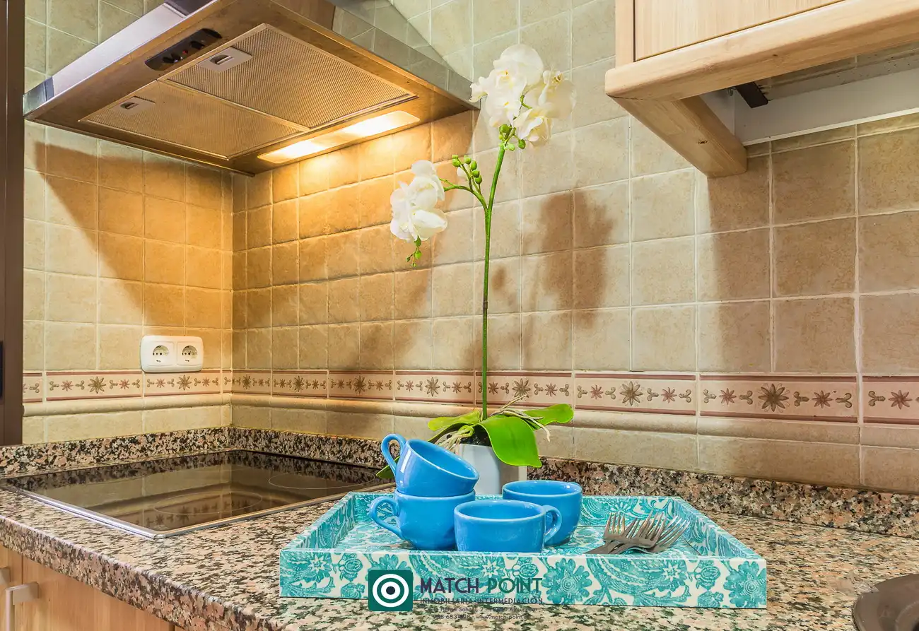 Planta baixa de lloguer a Calle Francisco Ruiz Aneas, Lentegí