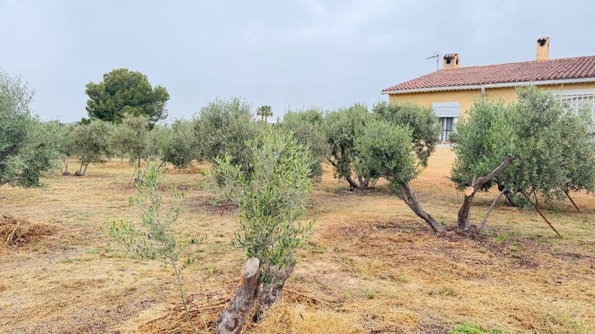 Houses for sale in Elche / Elx  with Heating, Private garden and Storage room