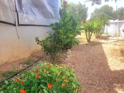 Landhaus mit Garten zum Verkauf in Camí Carretas 159, imagen 5