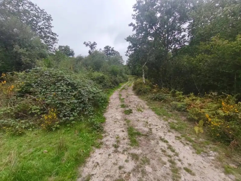 Villa avec jardin à vendre à Rionansa, imagen 40