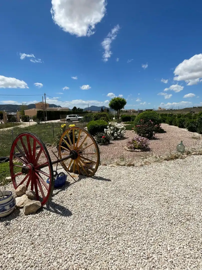 Villa à vendre à El Pinós / Pinoso, imagen 35