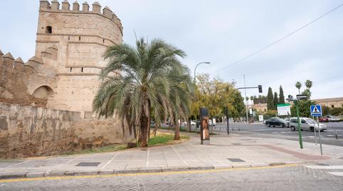 Foto 4 de Pis en venda a  Patricio Saenz, San Gil, Sevilla