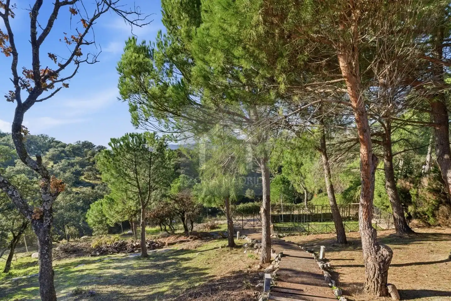 Casa o chalet en venta en Urbanización Punta Galea, Las Vegas - El Pozanco - Adelfillas