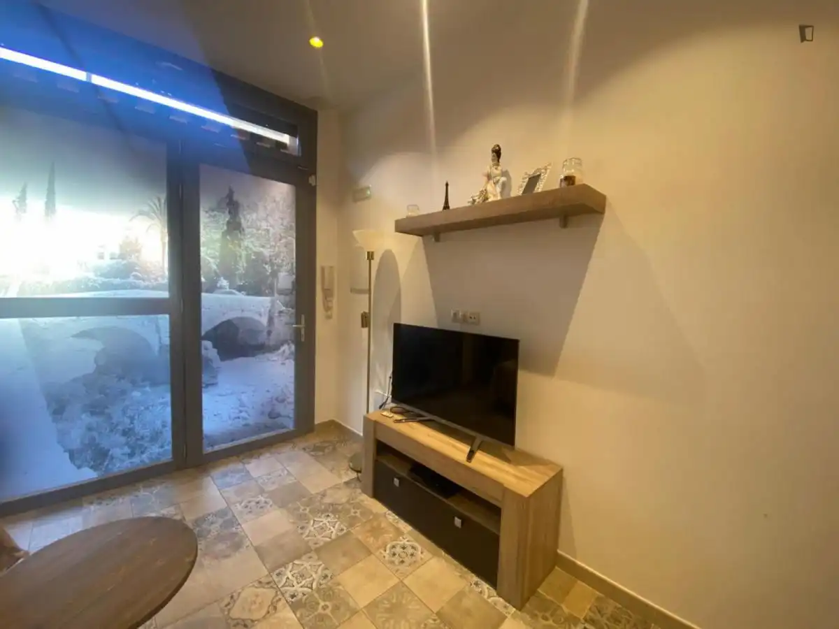 Sala de estar de Apartamento de alquiler en  Palma de Mallorca con Aire acondicionado, Amueblado y Horno