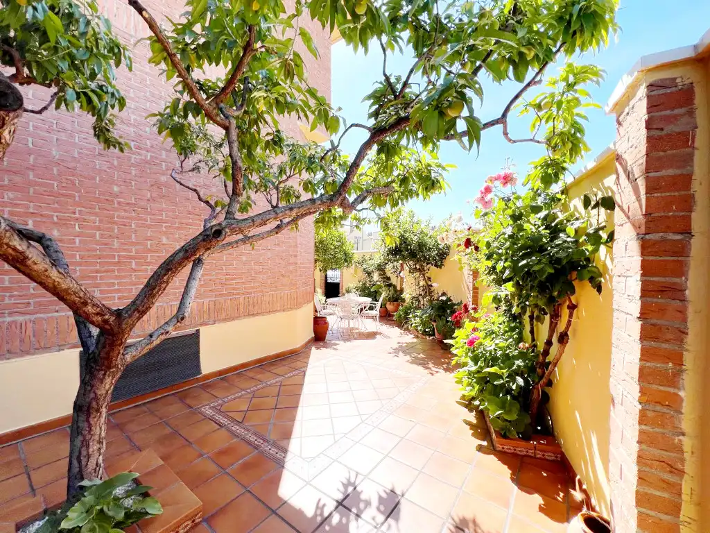Terrassa de Casa o xalet en venda en Alcalá de Henares amb Aire condicionat, Calefacció i Jardí privat