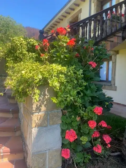 Terraza de Casa o chalet en venta en Piloña con Jardín privado, Amueblado y Alarma