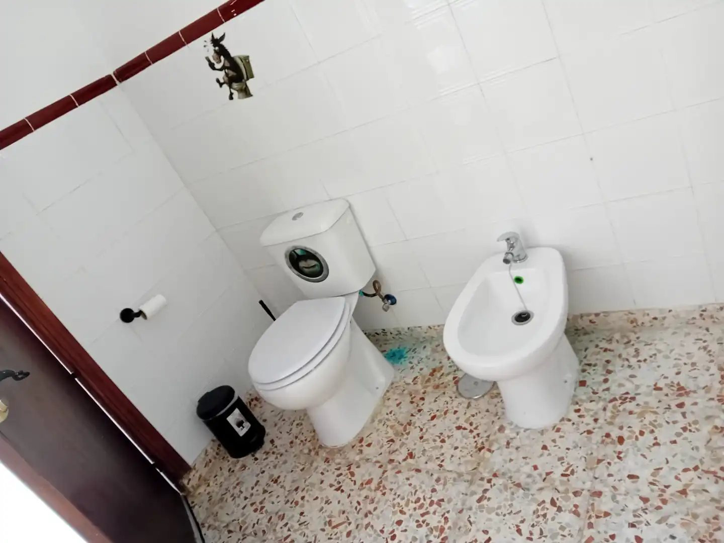 Country homes for rent in Vejer