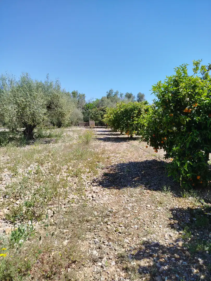 Terreno residencial en venta en Pueblo, imagen 55