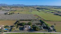 Finca rústica en venda en Manacor amb Aire condicionat, Calefacció i Jardí privat