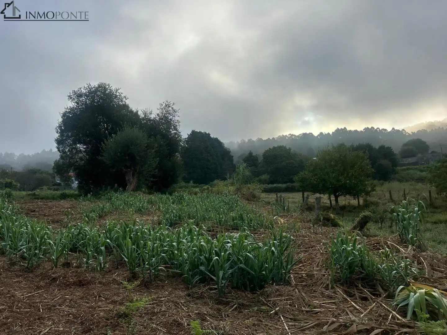 Terrenys i solars en venda a Parroquias Rurales, imagen 22