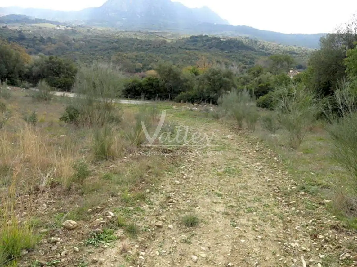 Terreni e lotti in vendita a None, imagen 22
