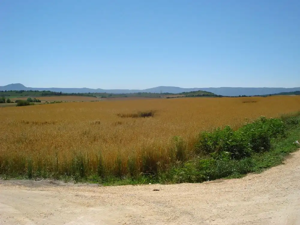 Wohnbaugrundstück zum Verkauf in San Millán / Donemiliaga, imagen 5