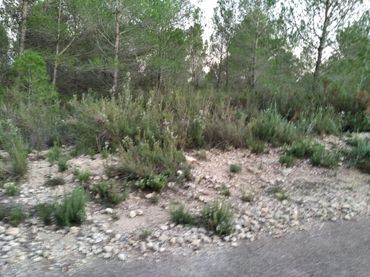 Terreno rustico in vendita a La Torre d'en Doménec