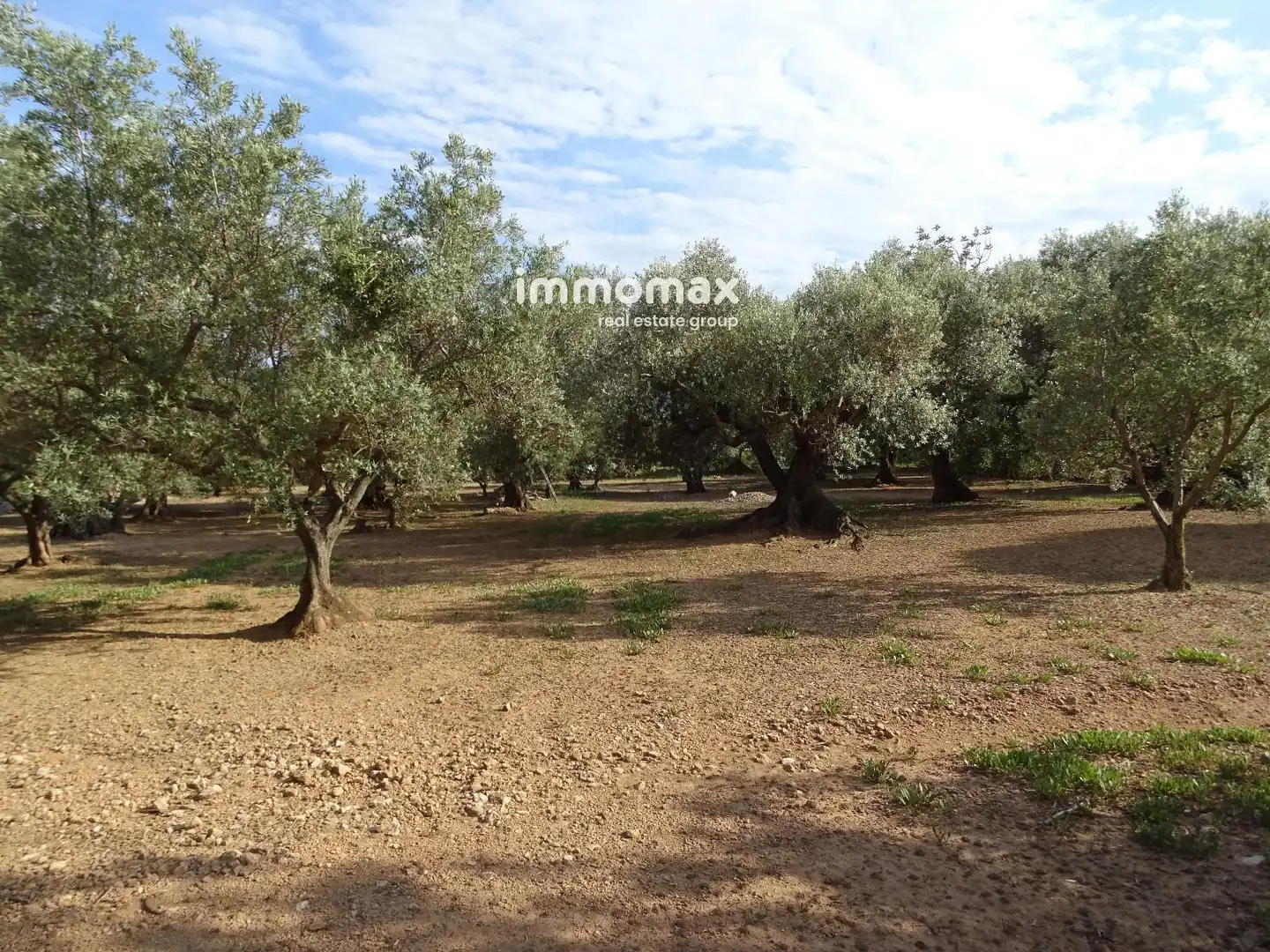 Terrain résidentiel à vendre à 14, imagen 10