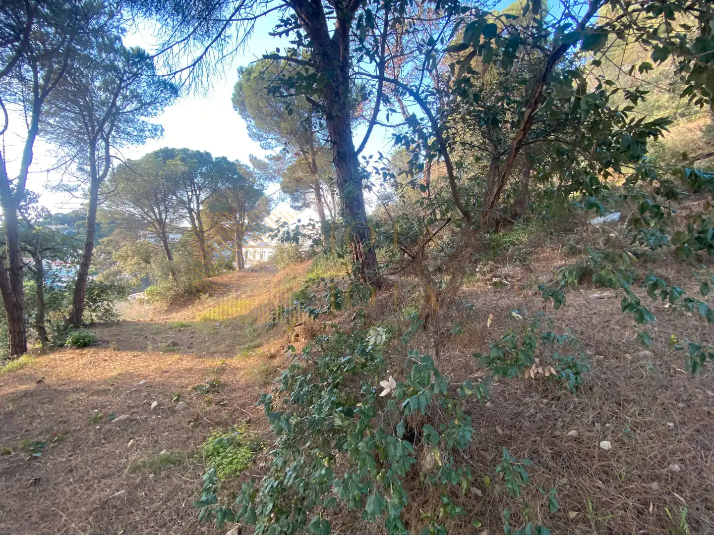 Wohnbaugrundstück zum Verkauf in Roca Grossa, imagen 7