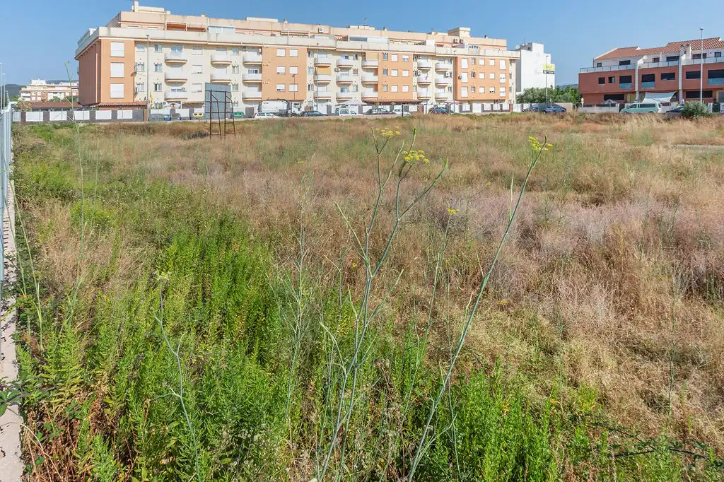 Rural land for sale in C/ Alquerías, imagen 15