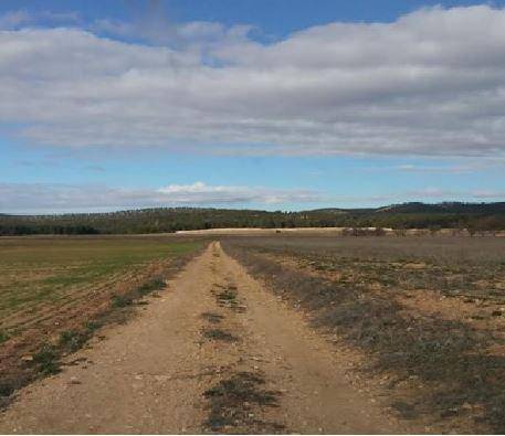 Terreno en Venta en Polígono 25 en La Font de la Figuera