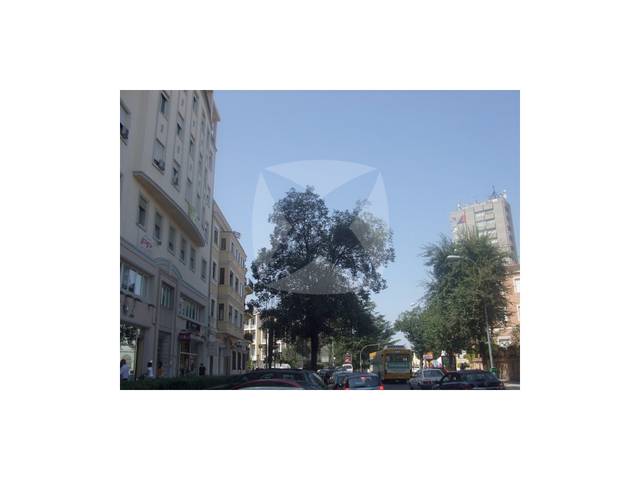 Local comercial en Alquiler en N/A en Casco Antiguo