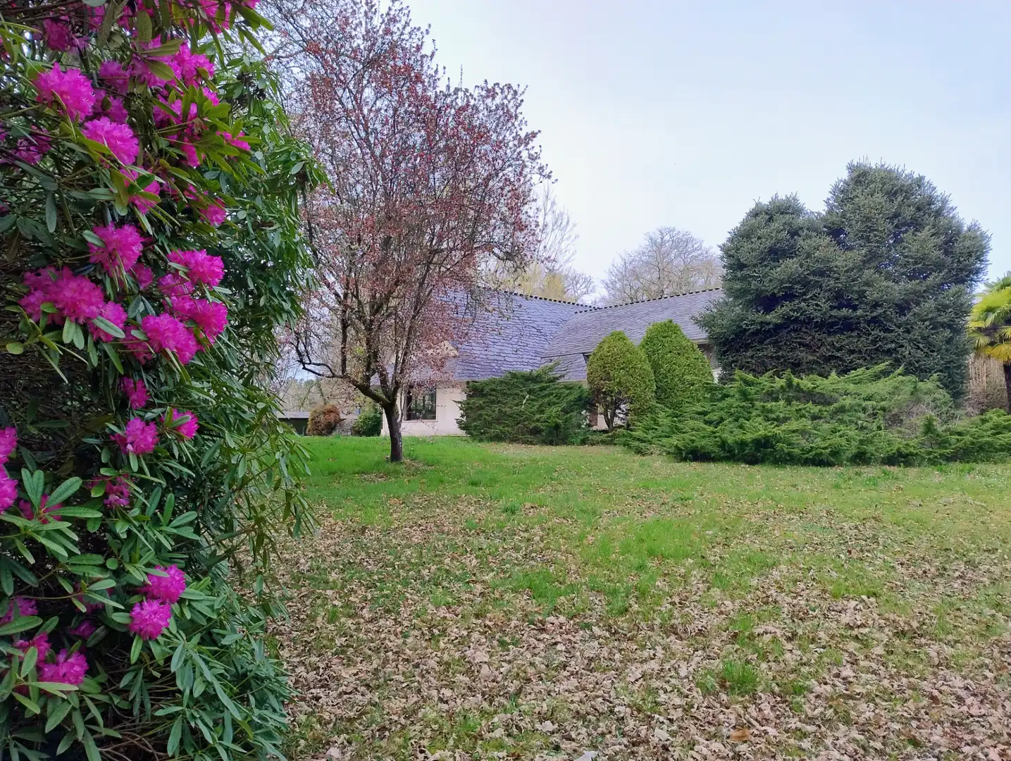 Jardín de Casa o chalet en venta en Lugo con Amueblado