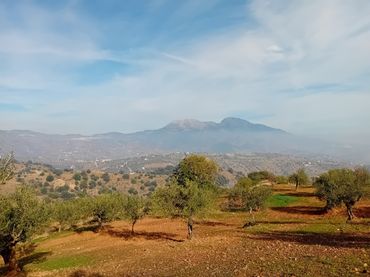 Terreny rústic en venda a Tolox