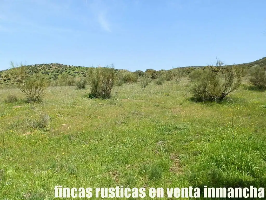 Rural land for sale in Calzada de Calatrava, imagen 11