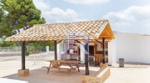 FINCA RÚSTICA CON BODEGA D.O. CAVA, image 5