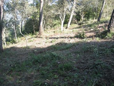 Terreny residencial en venda a Passarell 14
