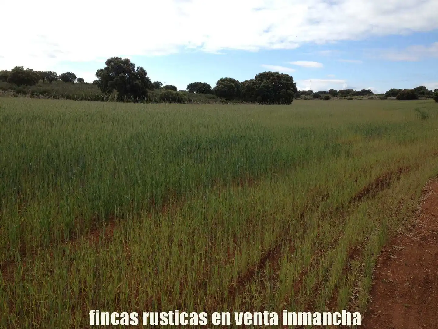 Terreno rustico in vendita a Ruidera, imagen 2
