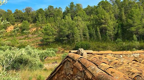 Foto 5 de Finca rústica en venta en Benifallet, Tarragona