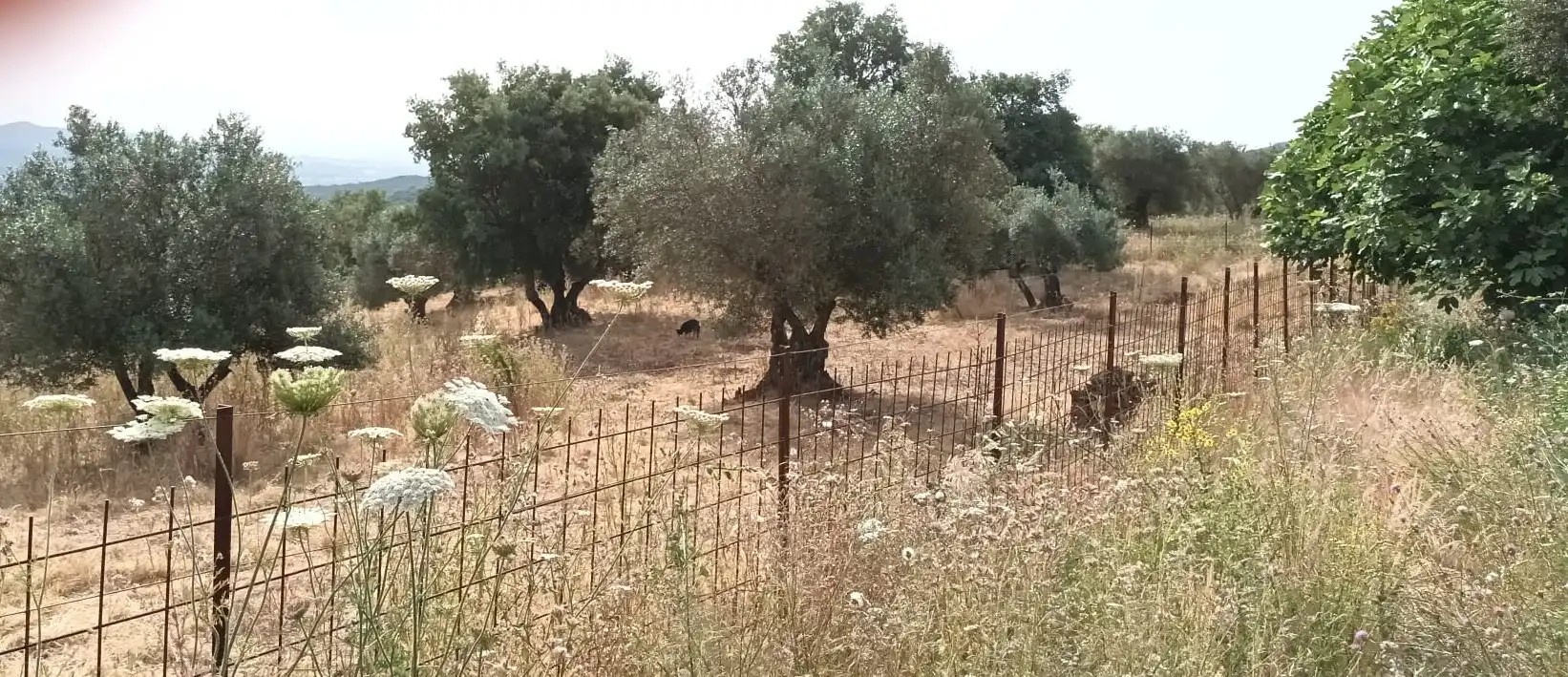 Grundstücke zum Verkauf in Valle de Santa Ana