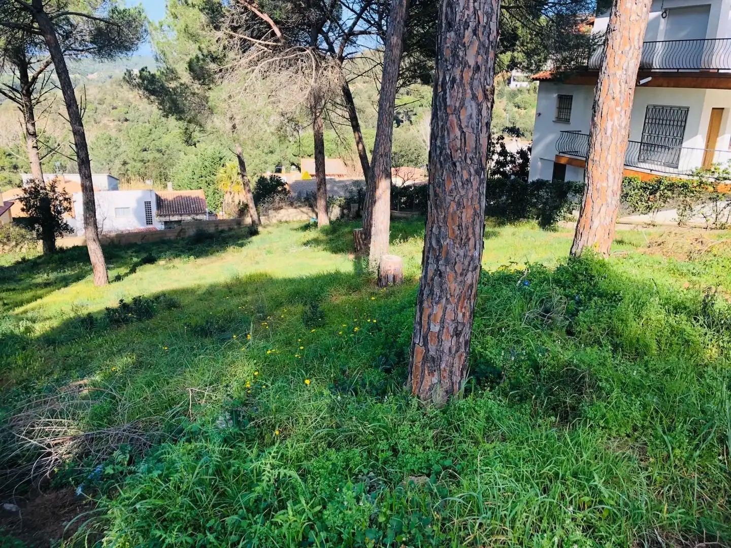 Residential for sale in Mas Mora - Sant Daniel