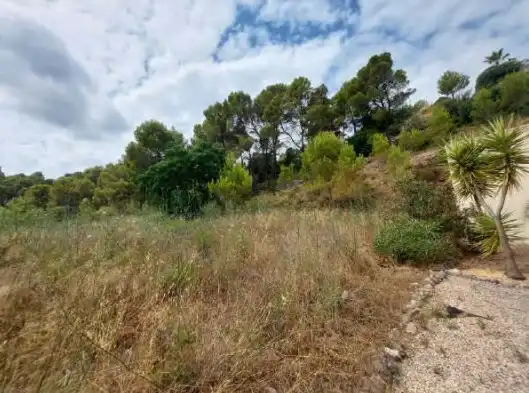 Land for sale in Orba
