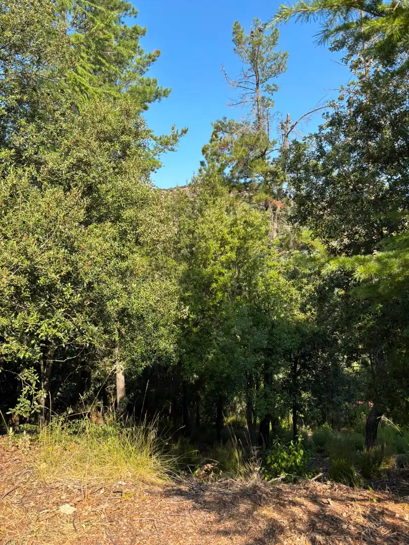Terreno residencial en venta en Carrer del Gabi 18, imagen 6