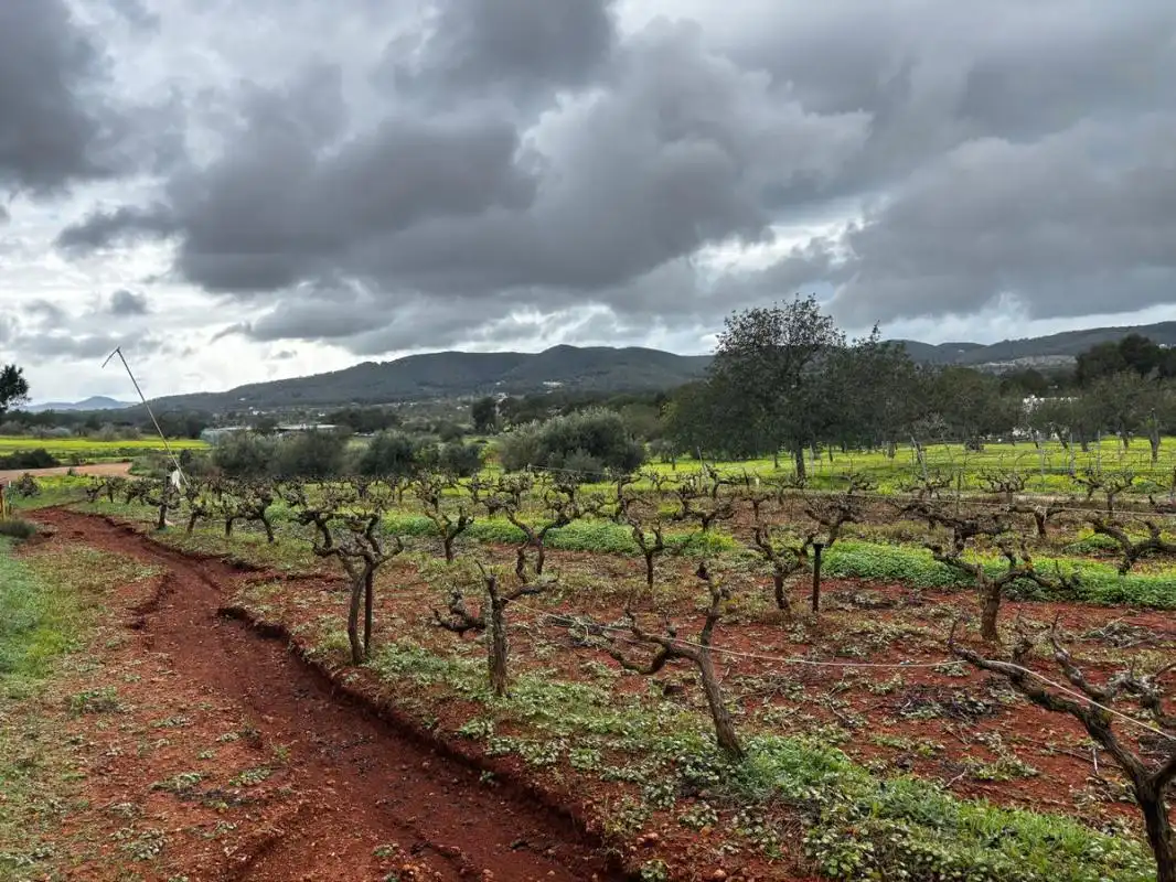 Land for sale in Sant Joan de Labritja