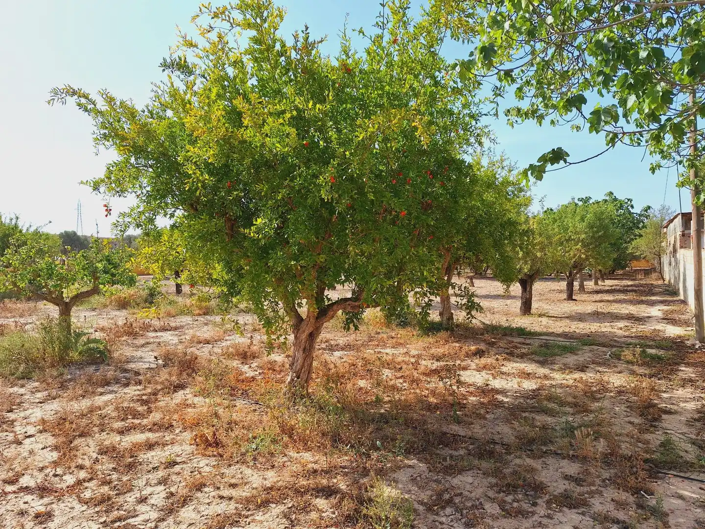 Casa o xalet en venda en Alicante / Alacant amb Jardí privat, Terrassa i Traster