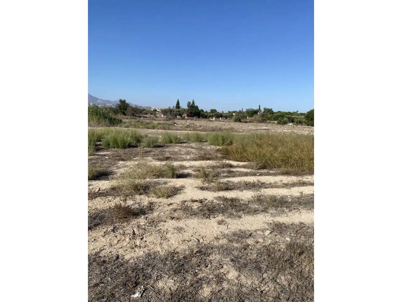 Finca rústica en venta en Mutxamel con Jardín privado