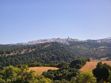 Rustikales Grundstück zum Verkauf in Camino Polígono  Paraje  EL ABEJARUCO