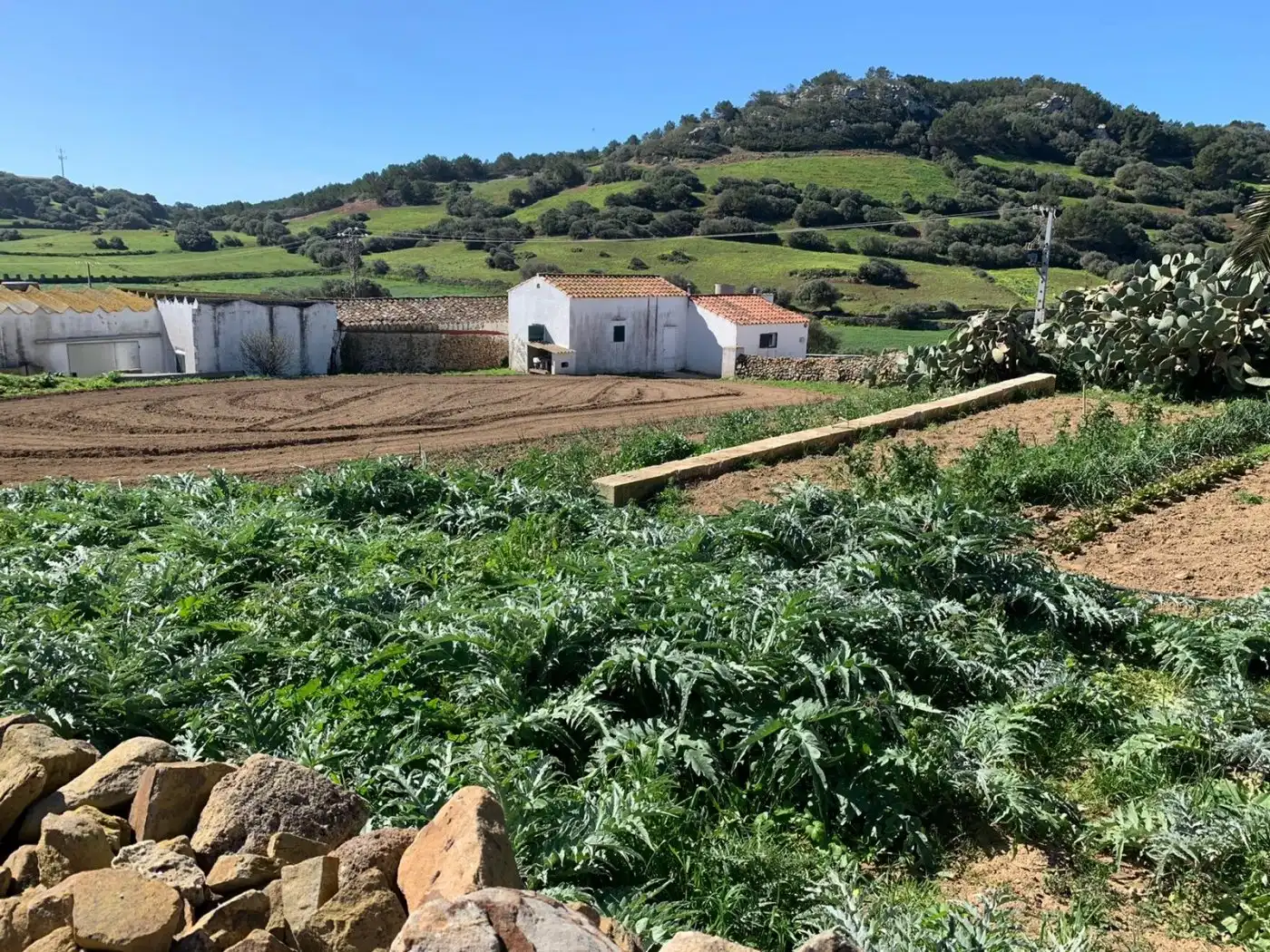 Casa en venda a Ciutadella, imagen 29