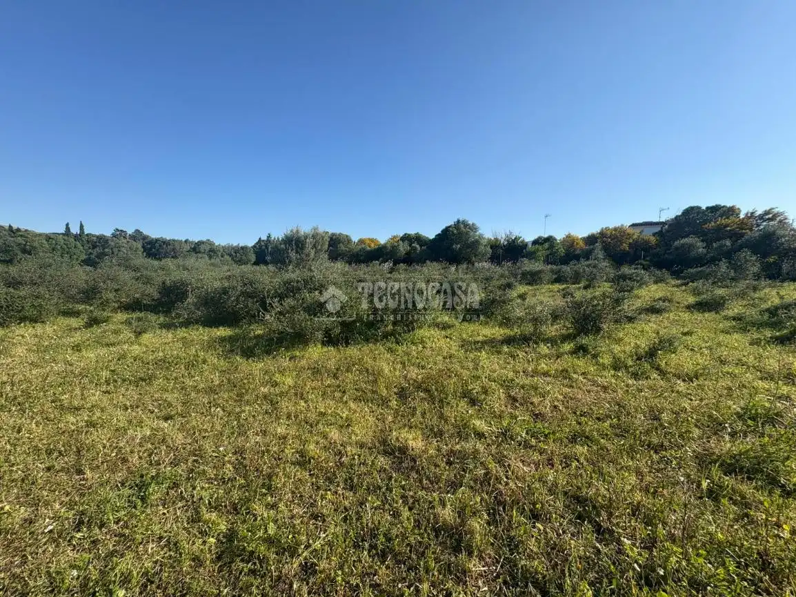 Terreno rustico in vendita a Barbate ciudad, imagen 6