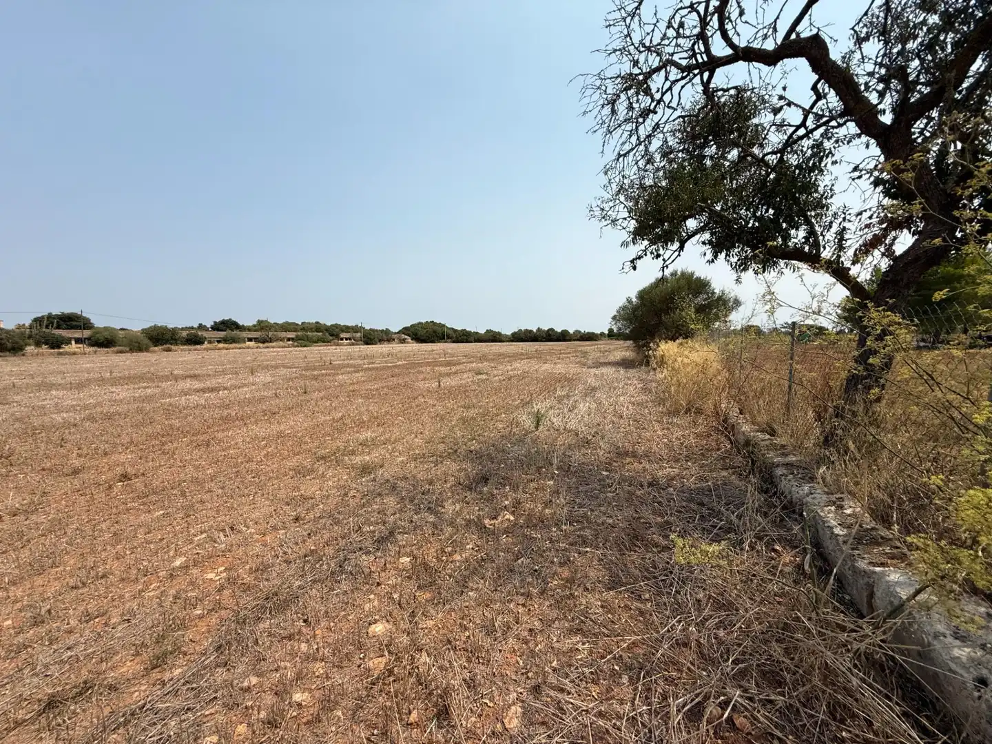 Grundstücke und Bauplätze zum Verkauf in Campos poble, imagen 2