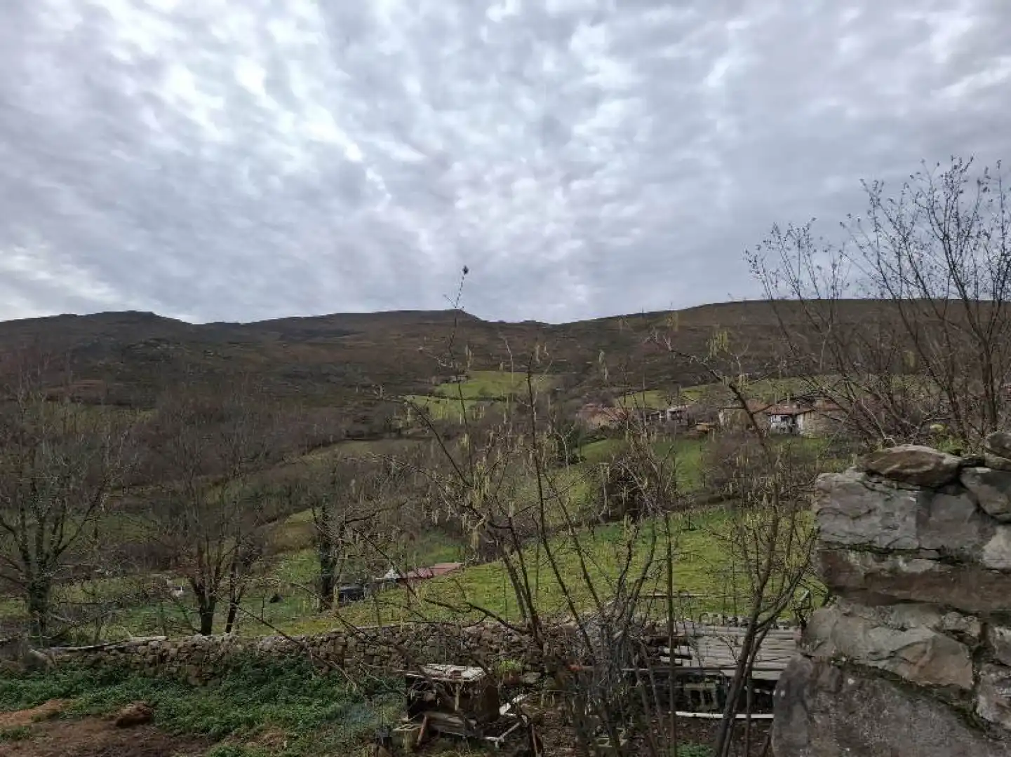 Casa o chalet en venta en Los Tojos 